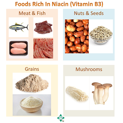 Niacin Rich Foods